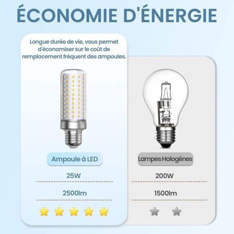 Ampoule LED E27 Blanc Froid - - 6000K - 1800 lm - Équivaut 200W - Non dimmable - Lot de 3 - Φ39 x 122 mm (1/4)