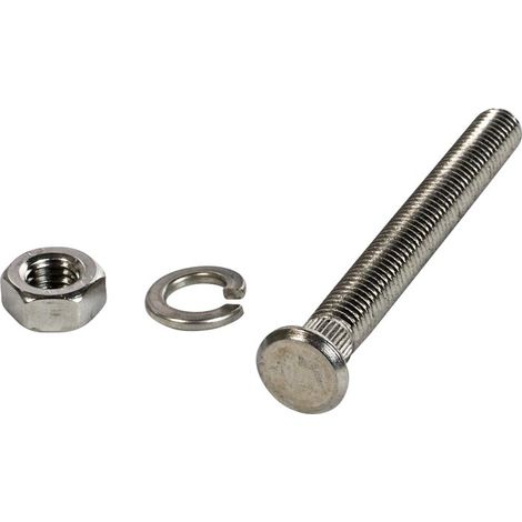 Kit tornillos peldaños 316 escaleras Astralpool. (1/2)