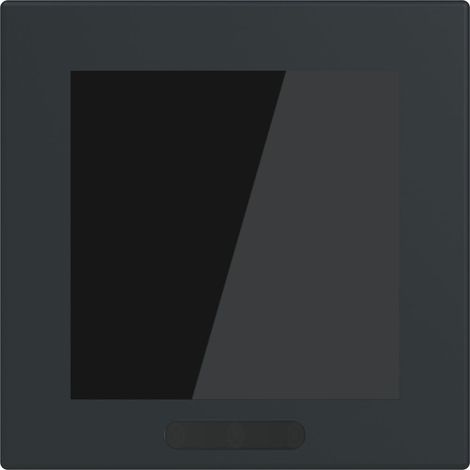 Busch Jaeger Display 2,4 Zoll Format SD/U12.63.11-825 63-solo/future (1/3)