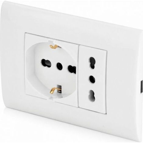 Placca Placchetta 2 Posti Completa 1 Presa Bipasso e 1 Presa Schuko LK40-3