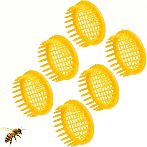 6 Cages De Cellules Abeilles Reines, Cages D'Élevage De Reine Des Abeilles Cages Pour Reines Outil D'Élevage En Plastique Réutilisable Boîte De Marquage Reine Pour L'Équipement D'apiculture Cellulaire (1/5)
