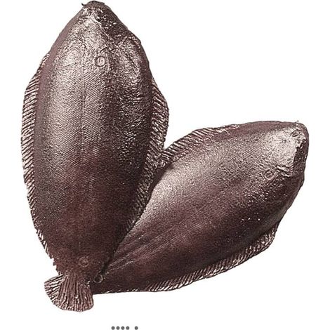 Sole artificielle poisson en lot de 2 Plastique soufflé L 270x120 mm (1/3)