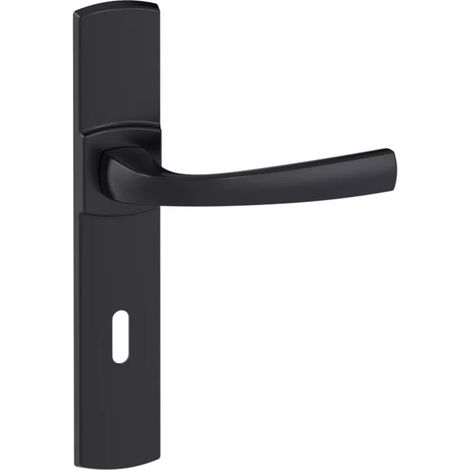 Ensemble de poignée Muze sur plaque - BEZAULT - Onyx noir mat - Plaque 215 x 41 mm - entraxe de fixation 195 mm - Clé L