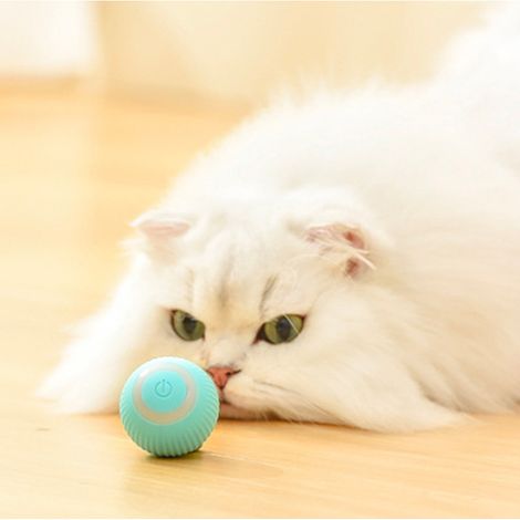 1 roulante intelligente, jouet électrique autonome avec LED, rotation 360°, rechargeable USB, pour chat (1/5)