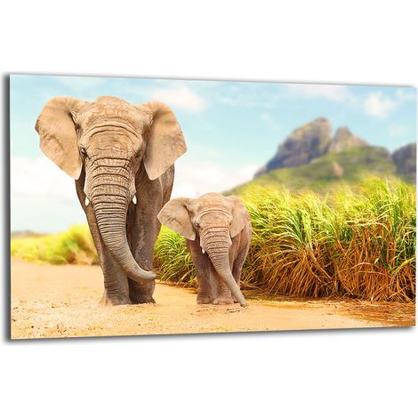 PLAQUE DE PROTECTION EN VERRE POUR CUISINIÈRE 80x52 ÉLÉPHANT (1/5)
