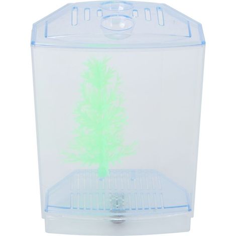 Mini Aquarium Transparent pour plantes aquatiques, boîte d'élevage, incubateur d'éclosion (simple) (1/5)