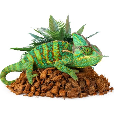 Substrat de copeaux de noix de coco, 5 litres pour terrarium (1/5)