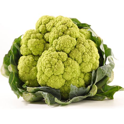 Semi di cavolfiore verde di Macerata "Barese" piante per orto e giardino