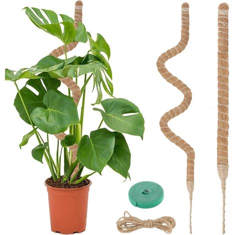 Tuteur Plante, 120CM Support Plante Grimpante Tuteur Coco avec Twist 2 Meter pour Soutenir Les Plantes, pour Plante Jardin Domestique (1/5)