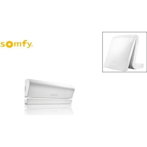 Somfy – Détecteur d'ouverture io pour TaHoma et Connexoon – Détection d'intrusion et de chocs – Alimentation par pile CR123 incluse – Technologie radio IO