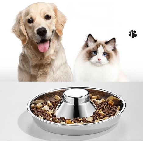 Lot de deux gamelles en acier inoxydable pour chiots et chats - Gamelles de 25 cm de diamètre (1/4)