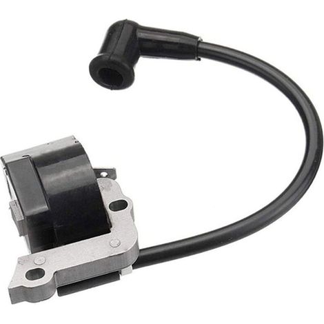 Zündspule für Stihl Fs55 Fs55c Fs46 Fc55 Fs38 Fs45 Fs55 Hl45 Hs45 - Bdliv (1/4)