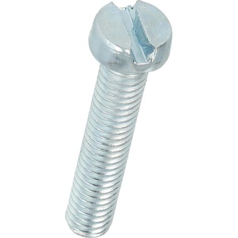 Vis tête cylindrique fente M6 x 30 mm avec fente
