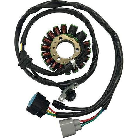 Bobina statore per 450R 450ER 2006 2007 2008 2009 31120-HP1-601 Accessori per moto (1/2)