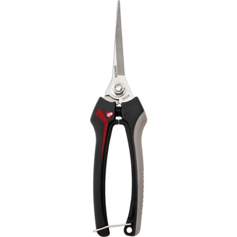 Bellota 3629 ciseaux de collecte 203mm Inox GR25 lame 79 extralar