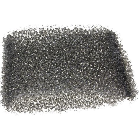 Filtro de espuma RS-RU7538 ROWENTA