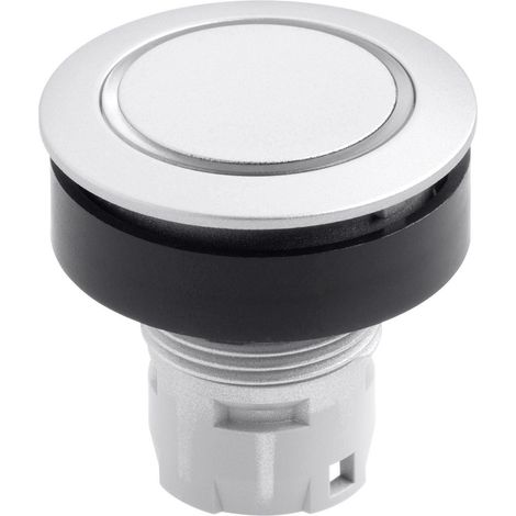 Schlegel RRJTLRSIL RRJTLRSIL Drucktaster   Silber   1 St.