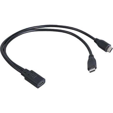 Câble répartiteur en Y portable USB-C femelle vers double USB-C mâle (1/4)