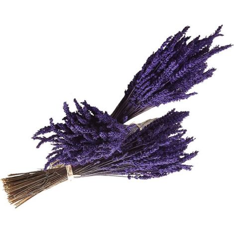 Experience Lot de 3 Bouquets de Lavande Préservée Écologique Artisanale Haute Qualité (1/4)