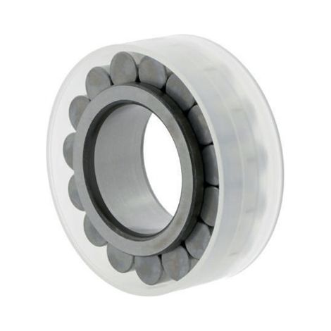 INA Zylinderrollenlager RSL185005 Innen-Ø 25 mm Außen-Ø 42,51 mmBreite30 mm