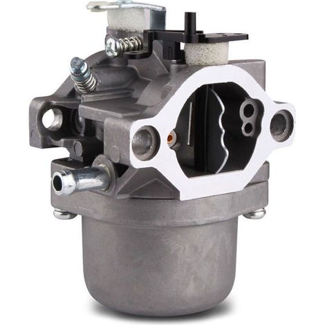 Nouveau carburateur pour Briggs Stratton LMT 5-4993 (1/3)
