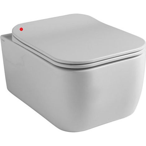 Copri wc per Vaso Sospeso - Tecnologia Soft Close - Ammortizzata - Design Elegante (1/5)