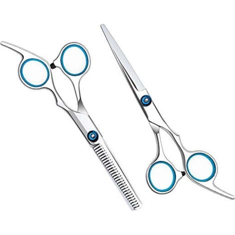 2-teiliges professionelles Haarschneidemaschinen-Set in Silber