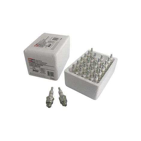 Confezione officina 24 Bougie accensione CHAMPION RJ19LM/24