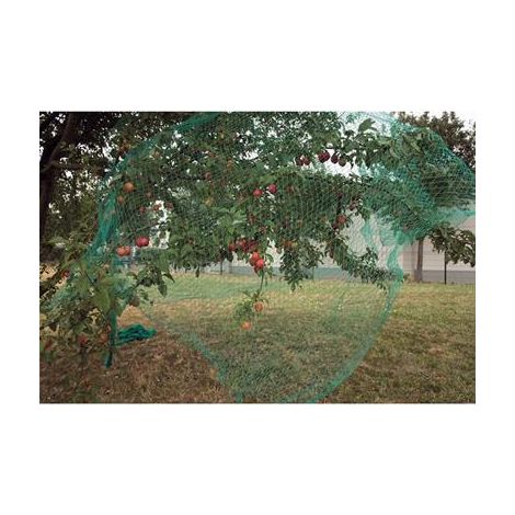 Ribiland – Filet anti-oiseaux 5x5 m – Maillage 18 mm – Polyéthylène haute densité traité anti-UV – Protection des cultures maraîchères (1/5)