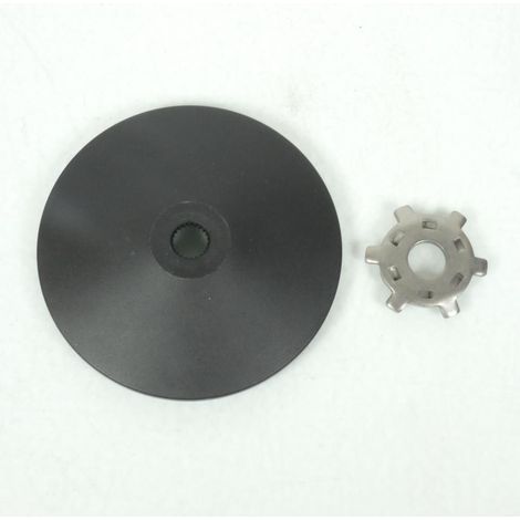 wange fest variator replay für roller peugeot 50 ludix snake 2004