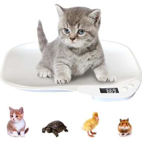Balance Chat 15kg/1g - Mini Balance Numérique pour Petit Animal Avec 3 Modes de Pesée (kg/oz/lb) et Écran LCD - Pour Chatons, Chiots (1/5)