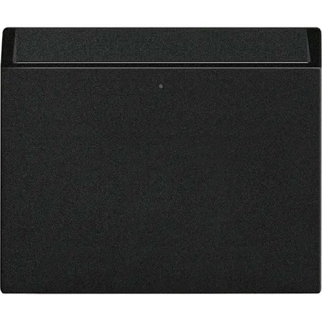 Plaque d'accès Simon 270 encastrable avec 2 micro-interrupteurs noir mat (1/2)
