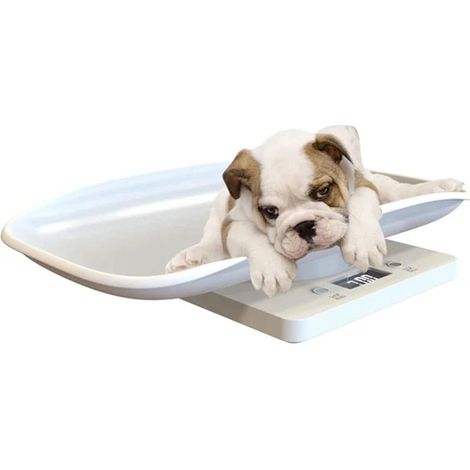 Balance numérique pour animaux de compagnie, balance de cuisine multifonctionnelle avec écran LCD, pesée jusqu'à 10 kg, accessoires pour animaux.-AquaForge