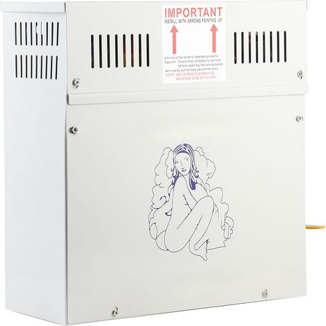 Générateur de vapeur 4,5 kW 220 V pour douche, sauna et bain de vapeur à domicile (1/5)