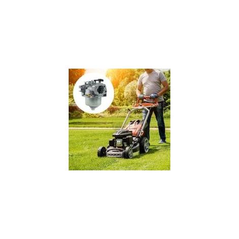 Carburateur SV150 LHP16 RV150 M150 V35 V40 RM4 Tondeuse 18550016/0 (1/5)