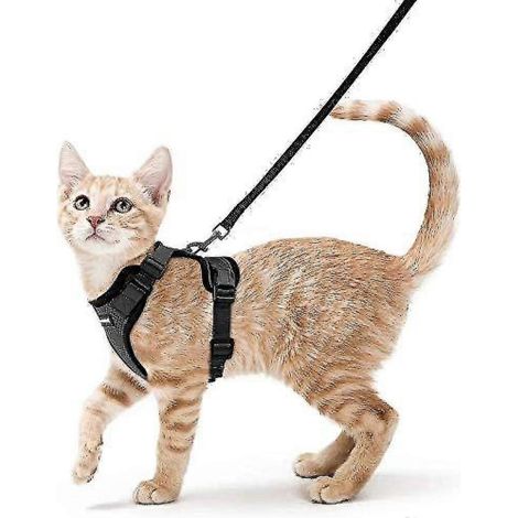 Harnais et laisse Rabbitgoo pour chat, harnais gilet souple et réglable anti-fugue pour chats, facile à contrôler-Small-Black