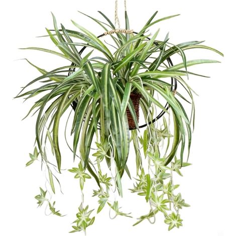 Plantes araignées artificielles réalistes à feuillage vert et bordures blanches, idéales (1/5)