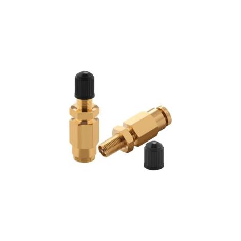 Valvola di gonfiaggio Schrader da 6,35 mm con pulsante per raccordo tubo aria da 0,6 cm di diametro esterno e sospensioni pneumatiche per semirimorchi, rimorchi e trattori - Crezuo