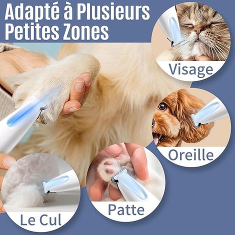 Pjordo Tondeuse pour Chien avec Baume Coussinet Chien, Tondeuse Chat à Faible Bruit, Tondeuse Patte Chien entre Coussinets pour Couper Pattes, Yeux, Oreilles, Visage, Croupe (1/3)
