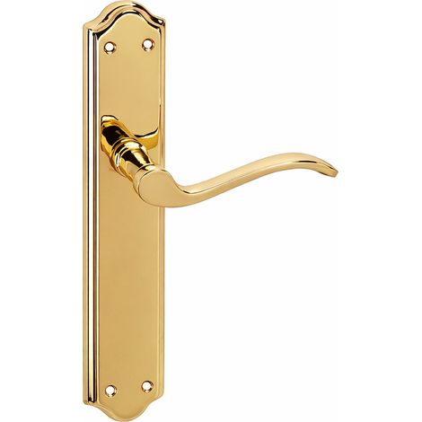 Manilla aluminio dorado brillo placa ovalada curva 245x47mm (1/5)