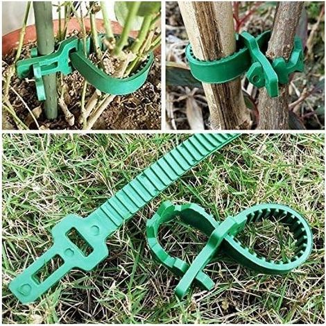 Garden tree ties – Set of 5 adjustable straps with locking mechanism, 33 cm long, for roses and shrubs (1/5)