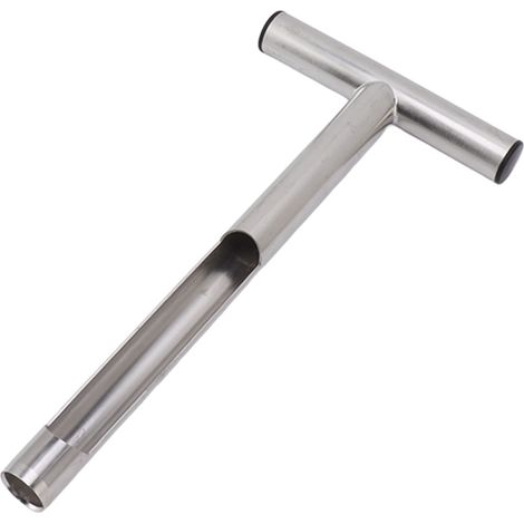 Tragbare Bodenprobenahmesonde aus Edelstahl 304 mit T-Griff, Bodenprobenahmewerkzeug für Landwirtschaft, Garten und Rasen, 30 cm (12 Zoll) (1/5)