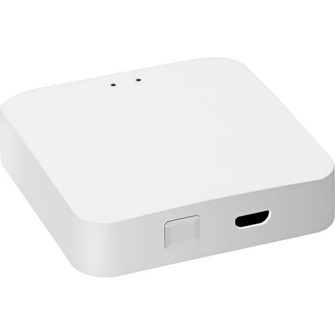 Hub ZigBee Tuya, pont Wi-Fi intelligent, télécommande sans fil, jusqu'à 60 appareils, compatible Google Assistant