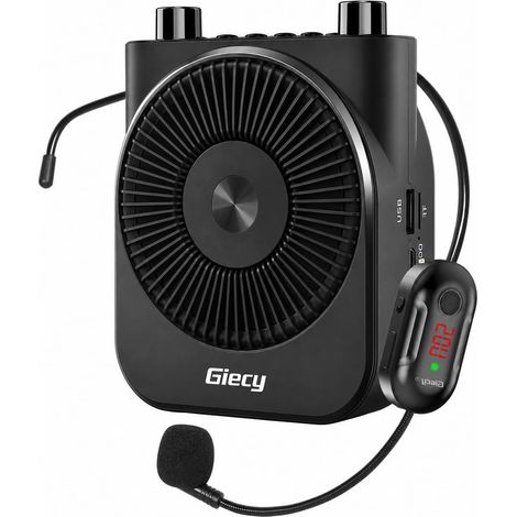 Amplificateur de Voix Portable avec Micro UHF sans Fil (1/5)