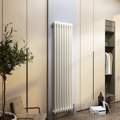 Biubiubath Traditional Cast Iron Radiator 1500x380mm 2 Column White (1/5)