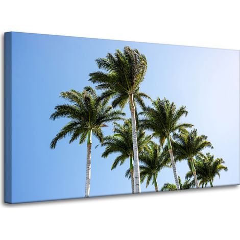 Lienzo impreso Naturaleza Palmeras 100x60 cm