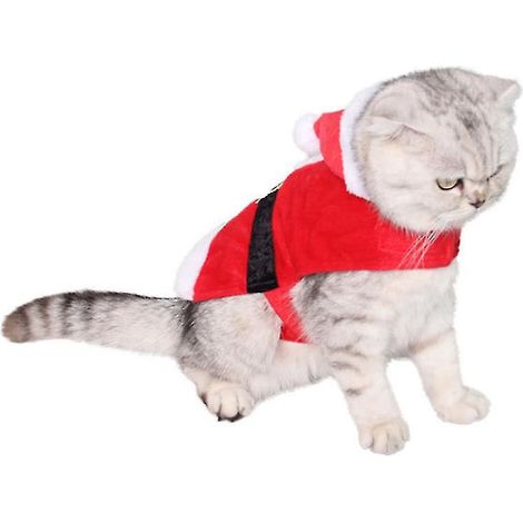 1 costume de chiot (1/3)