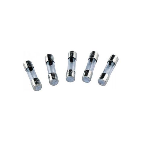 SICHERUNG FAST FUSE 80mA 250VAC 5x20mm Glas