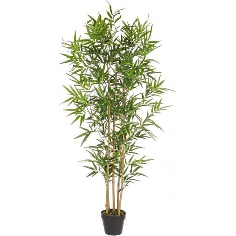 Pianta Artificiale da interno ed esterno "Bambù" con vaso h 155 cm (1/3)