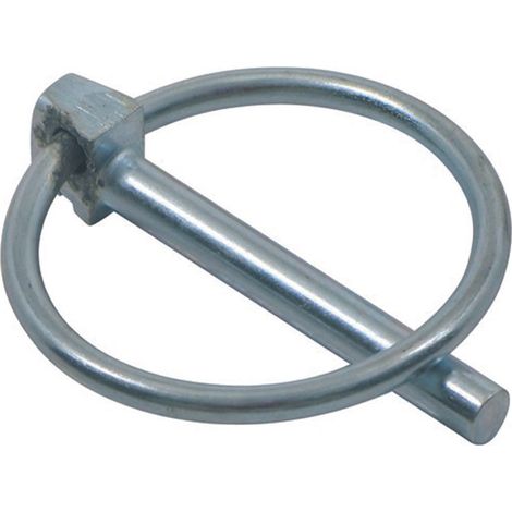 Spine a scatto - ø mm.6x36